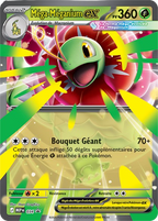 Coffret Méga-Méganium EX – ME02.5 Méga-Évolution : Héros Transcendants (FR)